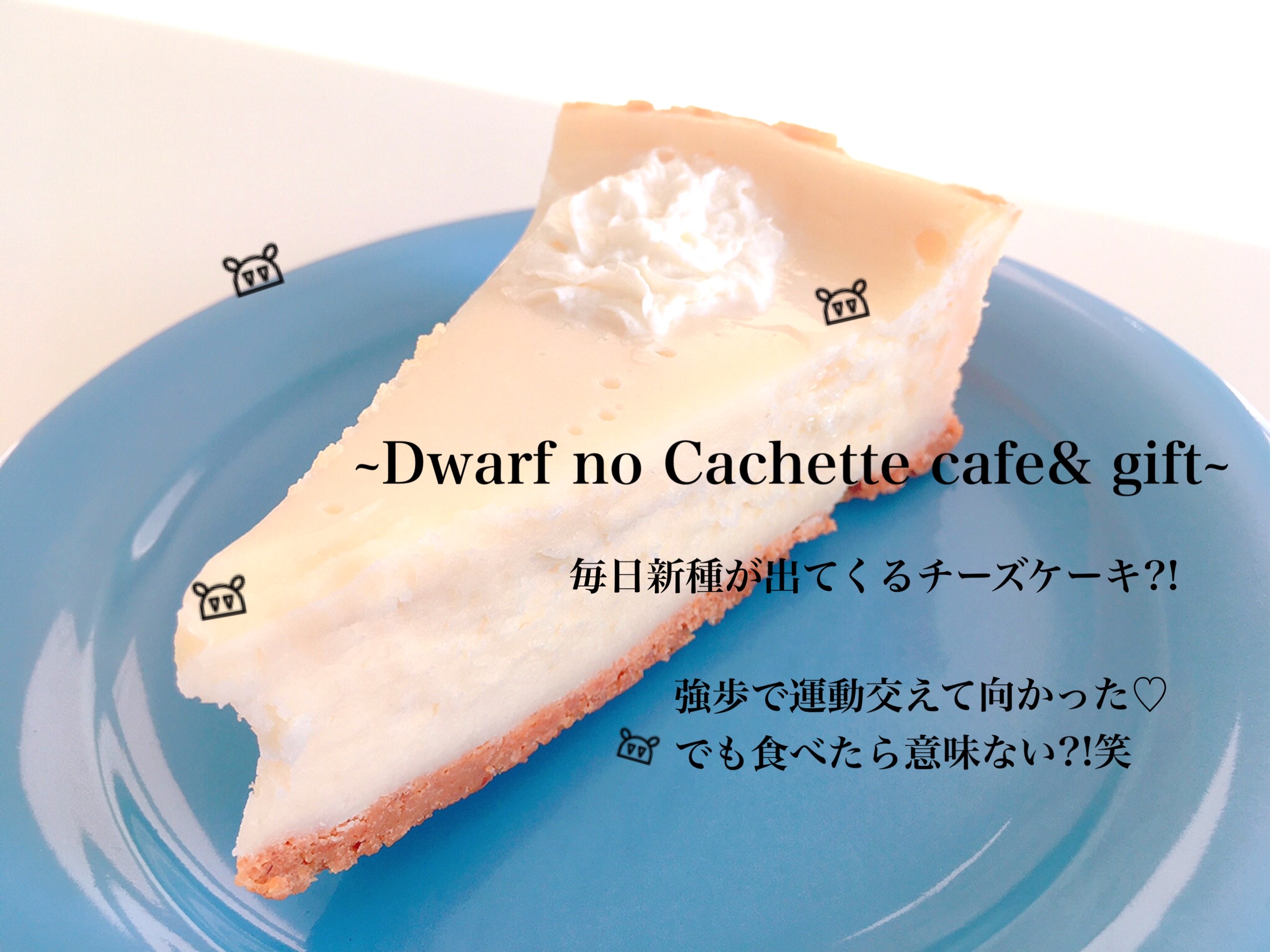チーズケーキの仙人のところへ 笑 Dwarf No Cachette Cafe Gift カナダ生活 ウィニペグ Tupaiを夢見るmaipocoブログ
